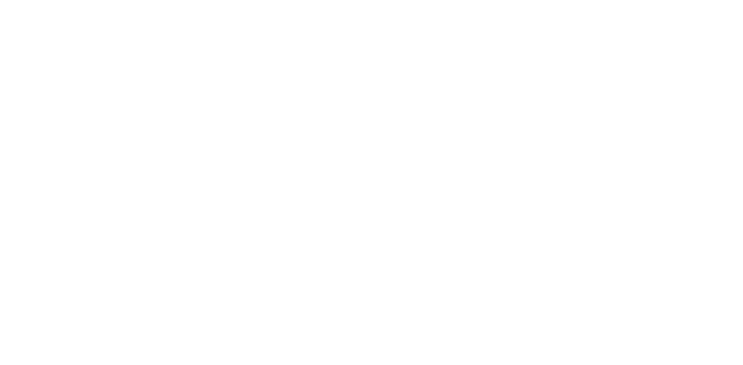Dentomax